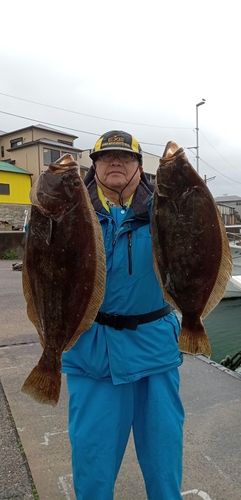 ヒラメの釣果