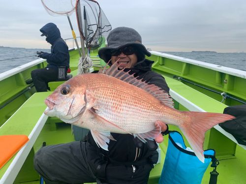マダイの釣果