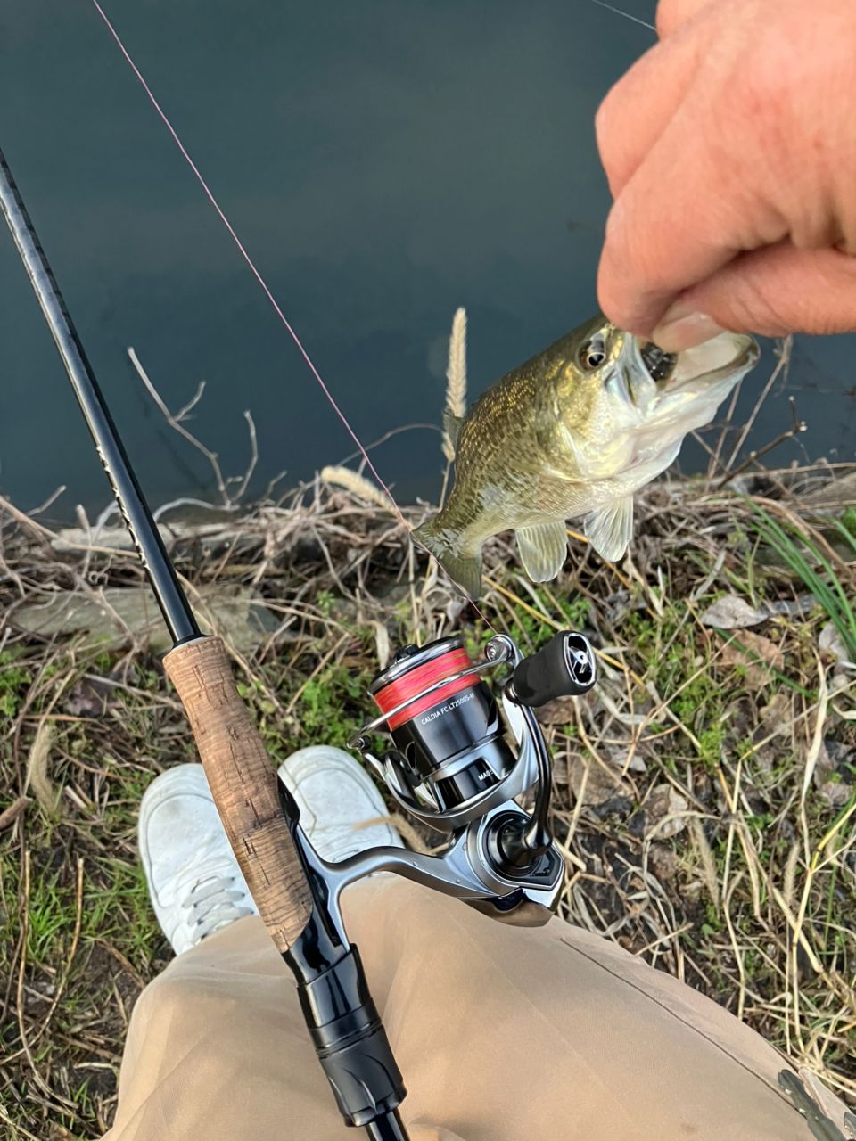 DAIWA 21ブレイゾン S69L-2の最安値・インプレ・釣果 | 本音の口コミが