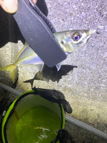 周防大島（屋代島）