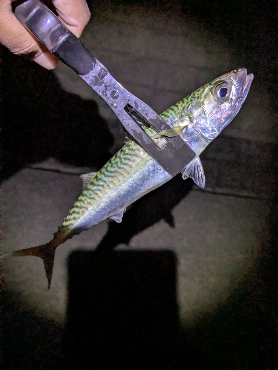 OLYMPIC 23コルト UX 23GCORUS-612L-HSの最安値・インプレ・釣果