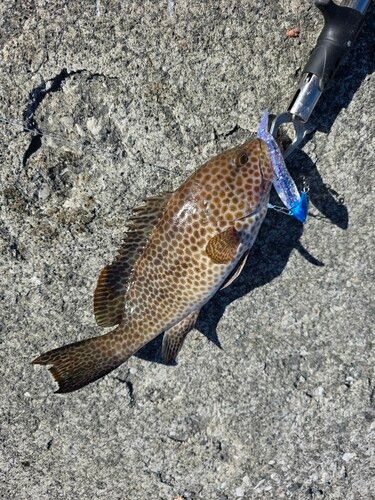 野見潮ばかり公園