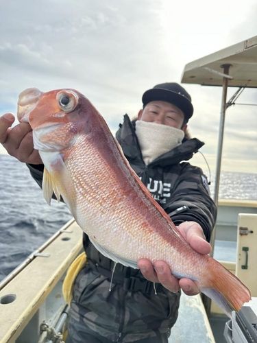 アマダイの釣果