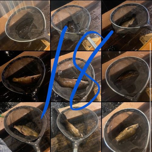 アミューズパーク郡山