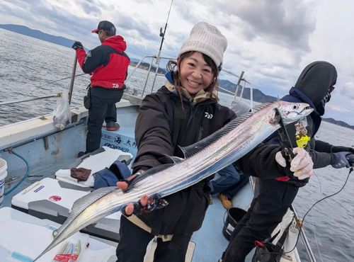 タチウオの釣果