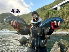 オナガグレの釣果