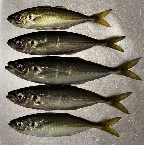 小名浜港アクアマリンふくしま周辺