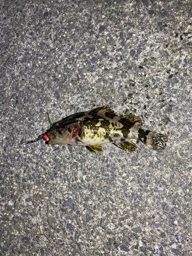 白子漁港（三重）