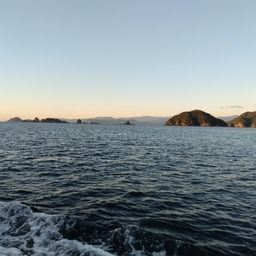 ウッカリカサゴ