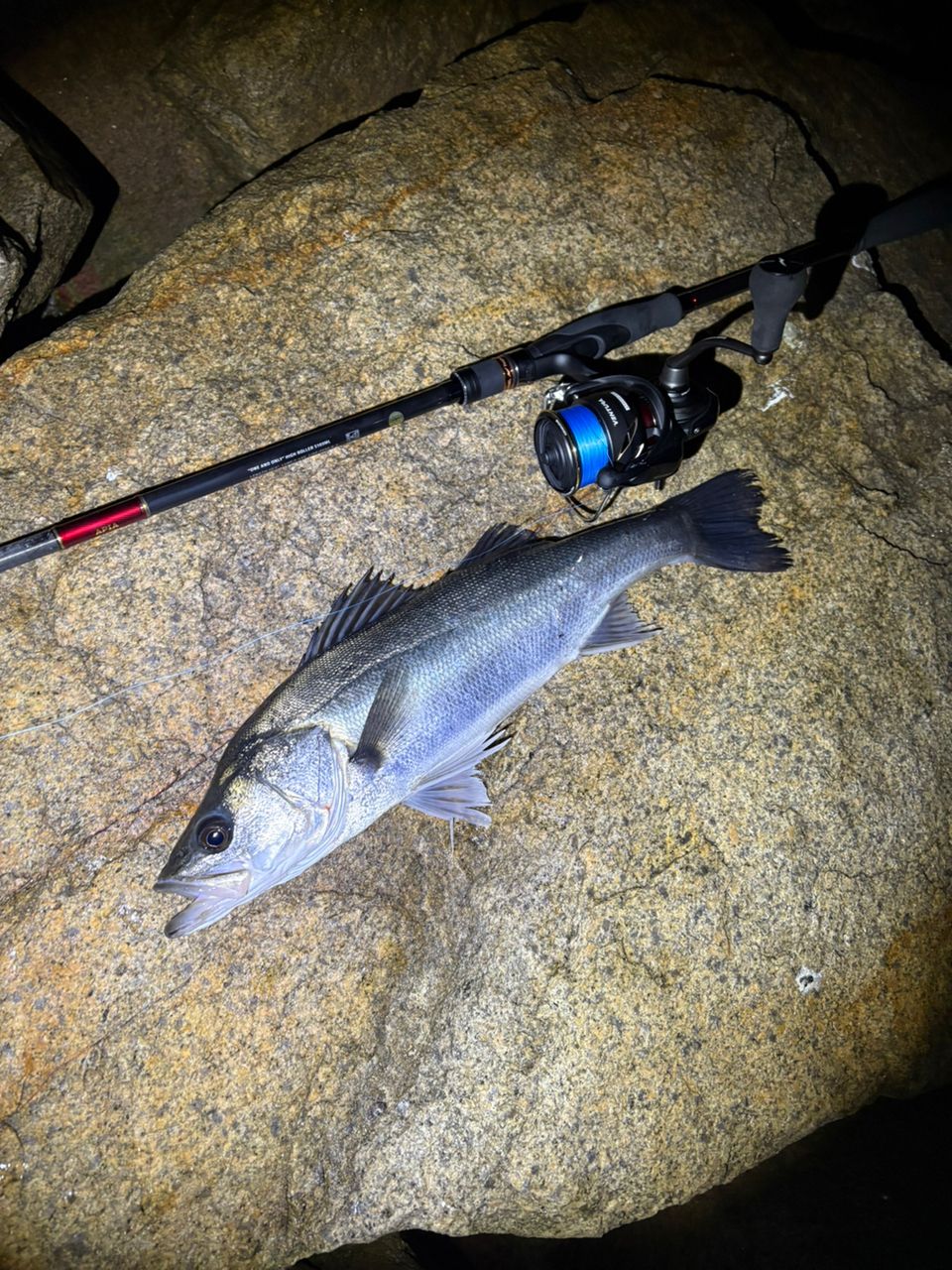 APIA フージン' Z HIGH ROLLER 103MLの最安値・インプレ・釣果