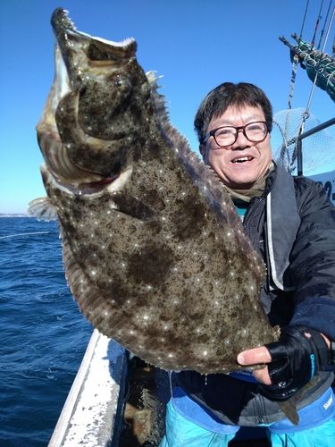 ヒラメの釣果
