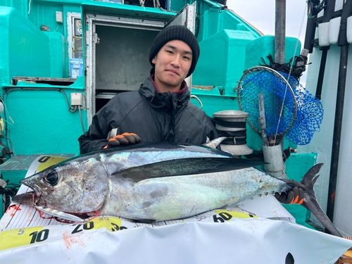 ビンチョウマグロの釣果