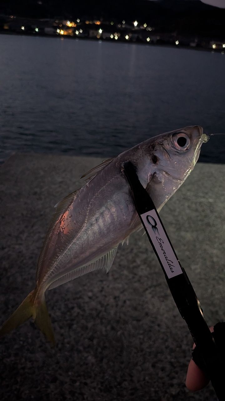 SHIMANO 20ソアレ エクスチューン S64UL+-Sの最安値・インプレ・釣果