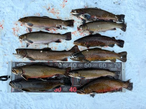 蔵王フォレストスプリングス