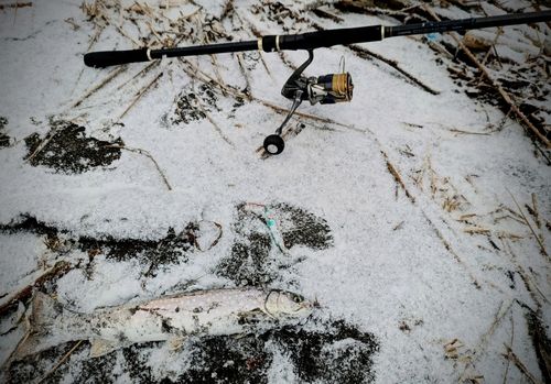 苫小牧東港一本防波堤