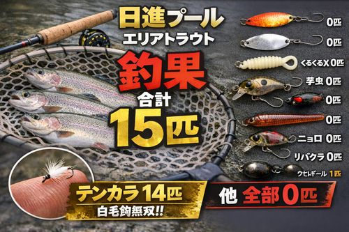 ニジマスの釣果