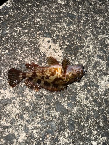 東部浄化センター（広島市）