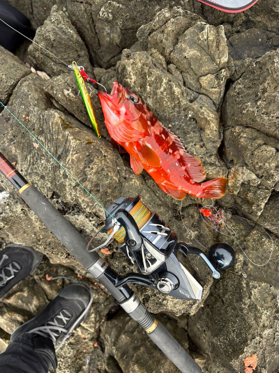 DAIWA 13ジグキャスター MX 106Hの最安値・インプレ・釣果 | 本音の