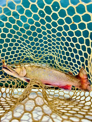 那須白河フォレストスプリングス