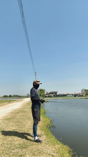 ジャイアントスネークヘッドの釣果
