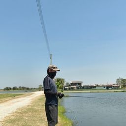 ジャイアントスネークヘッド