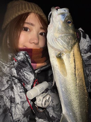 東京湾（アクアライン〜富津）