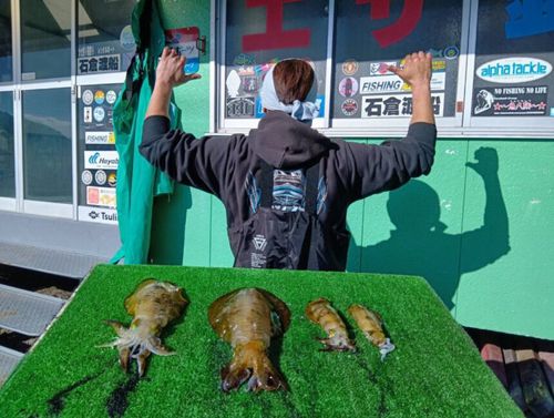 アオリイカの釣果