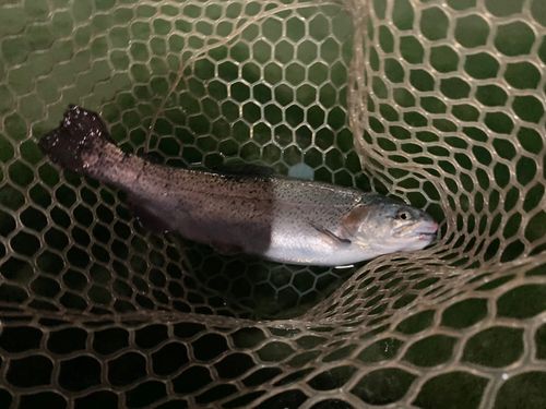 アルクスポンド焼津