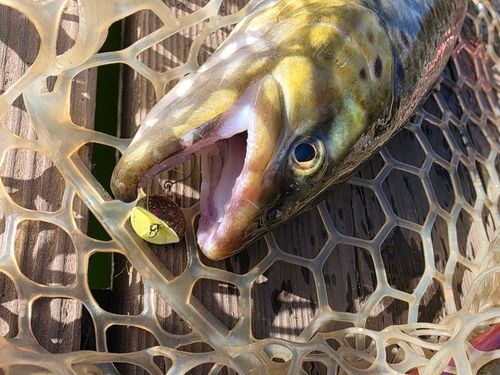 フィッシャーリゾート しょうばら