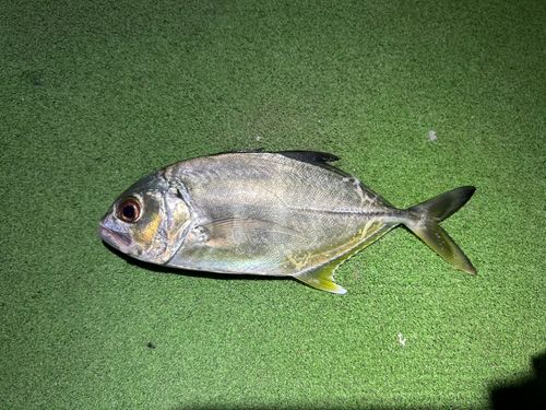 茅ヶ崎ヘッドランド