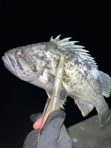 三陸海岸（岩手）