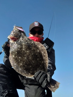 ヒラメの釣果
