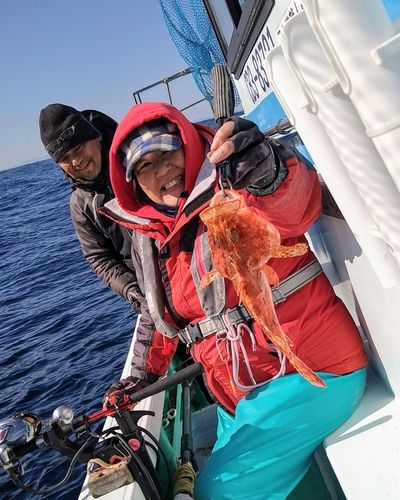 オニカサゴの釣果