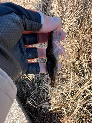 東京湾（アクアライン以北）