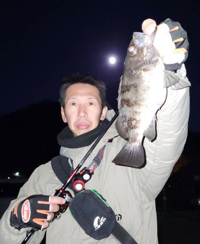 東京湾（富津〜金谷）