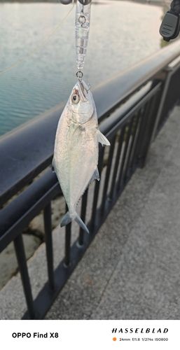 西原・与那原マリンパーク