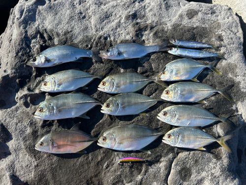 茅ヶ崎ヘッドランド