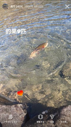 アウトドアビレッジ発光路の森フィッシングエリア