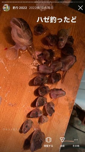 那珂川（茨城〜栃木）