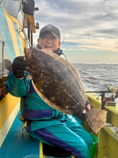ヒラメの釣果