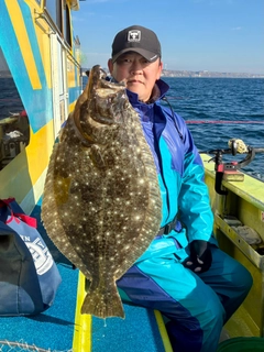ヒラメの釣果
