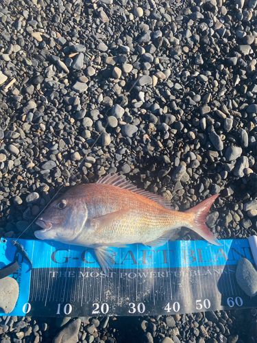 大浜海岸（静岡）