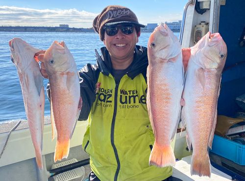 シロアマダイの釣果