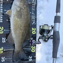 スモールマウスバス