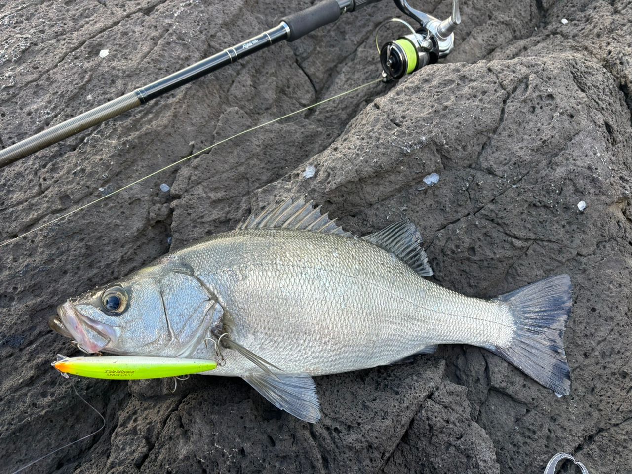 Ripple Fisher アヴァリス 106MHの最安値・インプレ・釣果 | 本音の