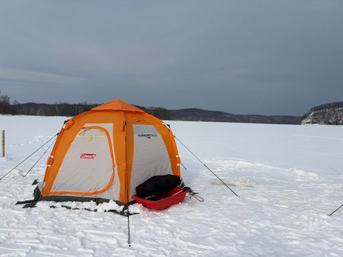 ワカサギの釣果