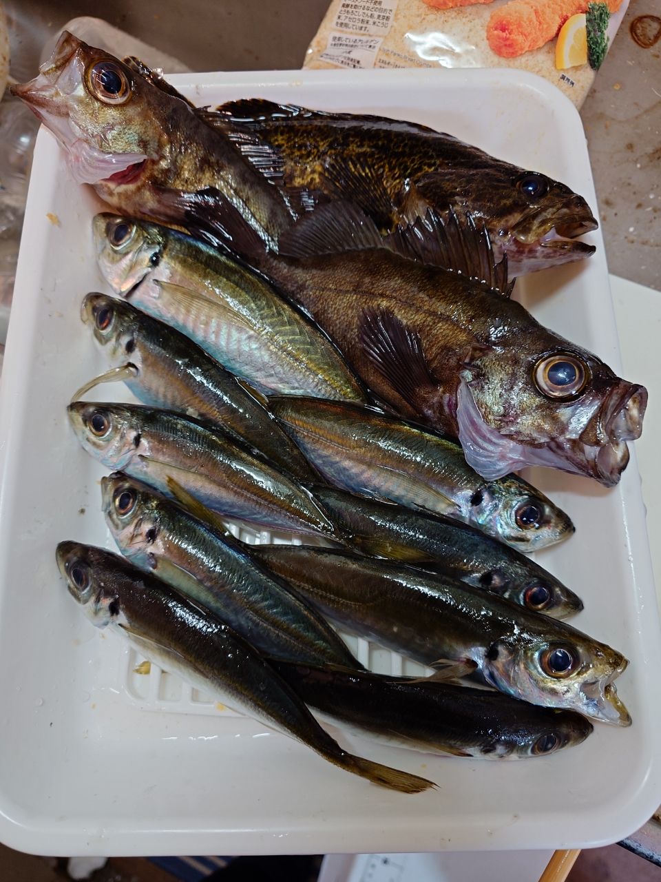 SHIMANO 23ソアレ BB アジング S610L-Sの最安値・インプレ・釣果