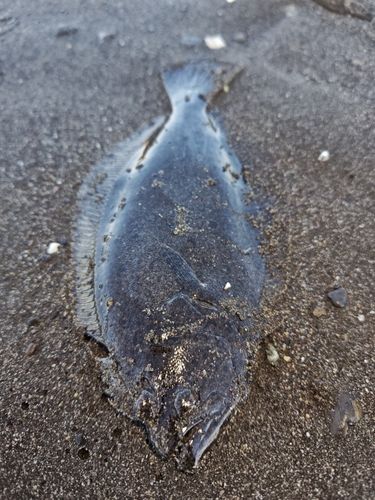 辻堂海浜公園前