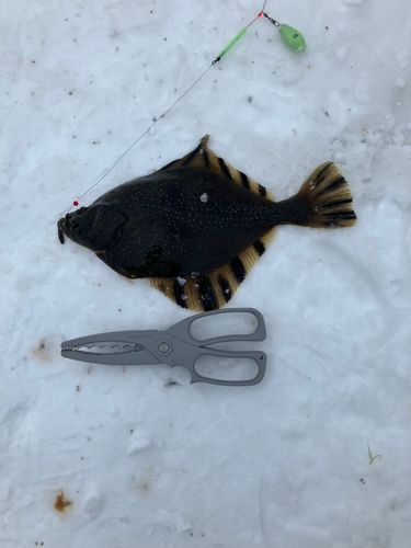 小樽港厩町岸壁