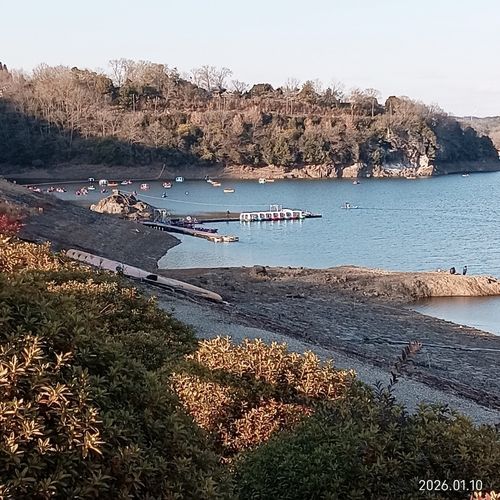 ワカサギの釣果